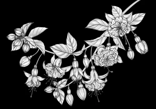 Цветок 049 (фуксия)