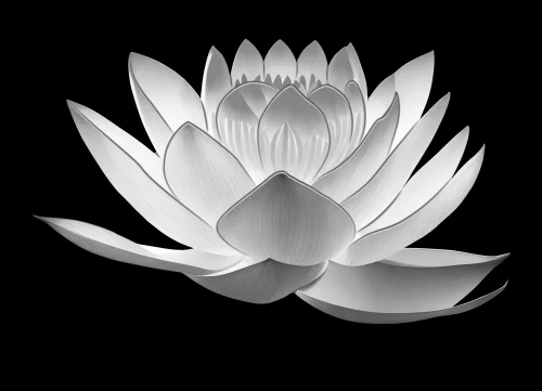 Цветок 078 (лотос)